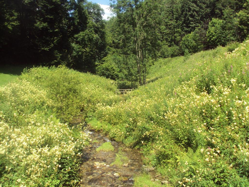 Le Vieux Moulin Bohan Εξωτερικό φωτογραφία